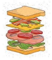 Sandwich concetto ingredienti. pane, insalata, pomodoro, formaggio, Bacon, cipolla, colorato mano disegnato vettore illustrazione.