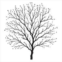 minimo autunno nudo albero vettore silhouette