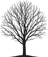 nudo albero vettore silhouette nero colore