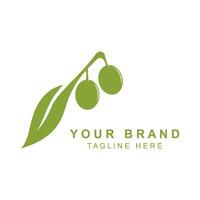 oliva olio logo con un' combinazione di le foglie e frutta vettore