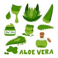 impostato medicinale pianta aloe Vera , verde foglie, fette e un' far cadere di succo.vettore illustrazione di vario verde aloe Vera foglie, tagliare in grande e piccolo dimensioni con gocce, aloe creme e gel vettore