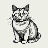 carino gatto vettore nero e bianca cartone animato personaggio design collezione. bianca sfondo. animali domestici, animali.