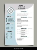 professionale curriculum vitae CV vettore modello