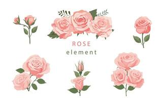 rosa rosa oggetto elemento impostato con foglia.illustrazione vettore per cartolina, adesivo