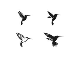 impostato di colibrì logo vettore icona illustrazione, colibri logo modello