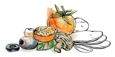 mano disegnato acquerello inchiostro illustrazione. pomodoro champignon Mozzarella formaggio basilico erba le foglie fresco prodotti. composizione isolato su bianca. ristorante menù, bar, cibo negozio o pacchetto, volantino, Stampa vettore