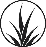 naturale benessere aloe nero logo design aloe armonia vettore nero pianta emblema