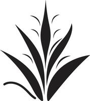 fresco verdura aloe Vera vettore emblema aloe aura nero vettore pianta logo design