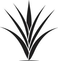 erbaceo vitalità nero aloe logo icona biologico rinnovo aloe vettore emblema