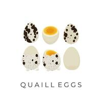 bollito Quaglia uovo vettore illustrazione logo