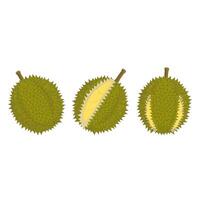 logo vettore illustrazione di fresco durian frutta