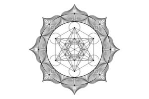 sacro mandala di metatroni cubo, mistico fiore di vita. sacro geometria, grafico elemento vettore isolato illustrazione. mistico icona platonico solidi, astratto geometrico disegno, tipico Ritaglia cerchi