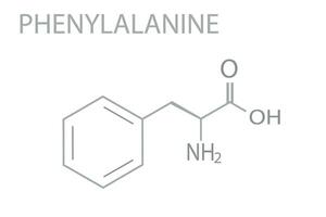 fenilalanina molecolare scheletrico chimico formula vettore
