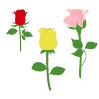 rosa clipart vettore collezione impostato