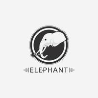 modello di progettazione dell'illustratore di vettore del logo dell'elefante