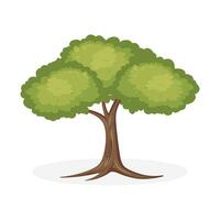 un' cartone animato albero con verde le foglie su un' bianca sfondo vettore