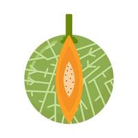 Cantalupo fetta frutta illustrazione vettore