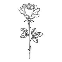 mano disegnato vettore illustrazione di un' rosa germoglio. scarabocchio schizzo, grafico linea arte, colorazione pagina