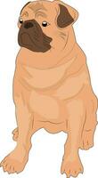 carlino. disegnato silhouette di un' cane. cane su un' bianca sfondo. design di saluto carte, manifesti, cerotti, stampe su Abiti, emblemi. animale domestico. cucciolo. vettore