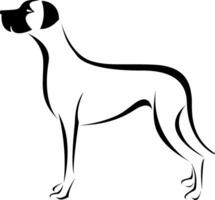 vettore di un' cane grande dane o Tedesco mastino o danese cane da caccia su bianca sfondo. animale domestico. animale. facile modificabile stratificato vettore illustrazione.