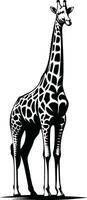 giraffa silhouette illustrazione professionista vettore