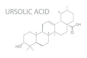 ursolico acido molecolare scheletrico chimico formula vettore