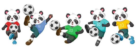 impostato di panda cartone animato giocando calcio. vettore illustrazione