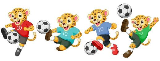 impostato di leopardo cartone animato giocando calcio. vettore illustrazione