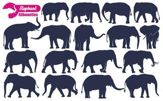 animale elefante sagome vettore illustrazione