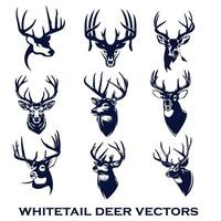 whitetail cervo testa vettore illustrazione impostato