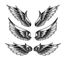 vettore impostato di Vintage ▾ angelo Ali tatuaggi