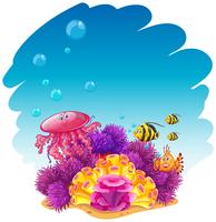 Scena subacquea con meduse e coralli vettore