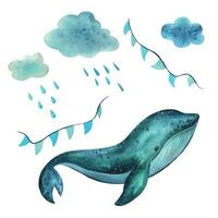 un' bambino balena nuotate su il mare e mosche nel il cielo con ghirlande di bandiere tra il nuvole e gocce di pioggia. mano disegnato bambini S acquerello illustrazione. impostato di isolato oggetti vettore