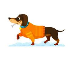 cartone animato bassotto cane nel accogliente inverno Abiti vettore