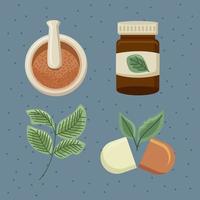 quattro icone di medicina alternativa vettore