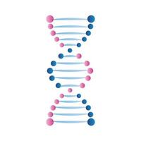 DNA blu e rosa vettore