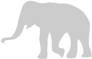 elefante vettore