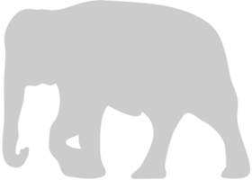 elefante vettore