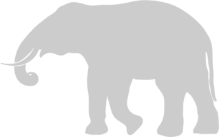 elefante vettore