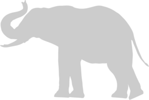 elefante vettore