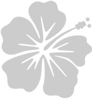 fiore di ibisco vettore