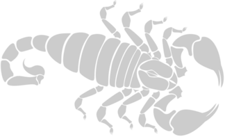 scorpione vettore