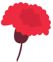fiore di garofano vettore
