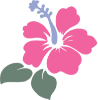 fiore delle Hawaii vettore