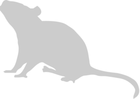 animale del topo vettore
