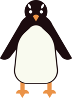 pinguino vettore