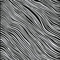 zebra modello a strisce linea struttura modello illustrazione vettore