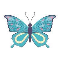 cartone animato farfalla maculata vettore