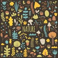 natura, le stagioni, molla, estate. grande collezione di naturale botanico elementi. impostato di foglie, fiore, albero, fungo, frutti di bosco, ghianda, cono, noce, erbe aromatiche e rami. vettore mano disegnato piatto illustrazione