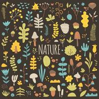 natura, le stagioni, molla, estate. grande collezione di naturale botanico elementi. impostato di foglie, fiore, albero, fungo, frutti di bosco, ghianda, cono, noce, erbe aromatiche e rami. vettore mano disegnato piatto illustrazione